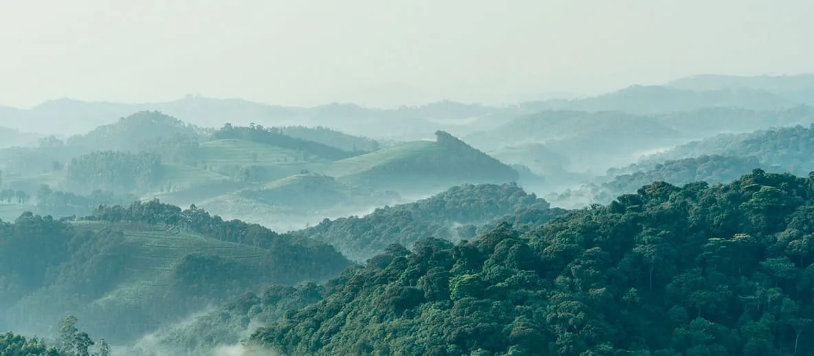 Vivre au Rwanda