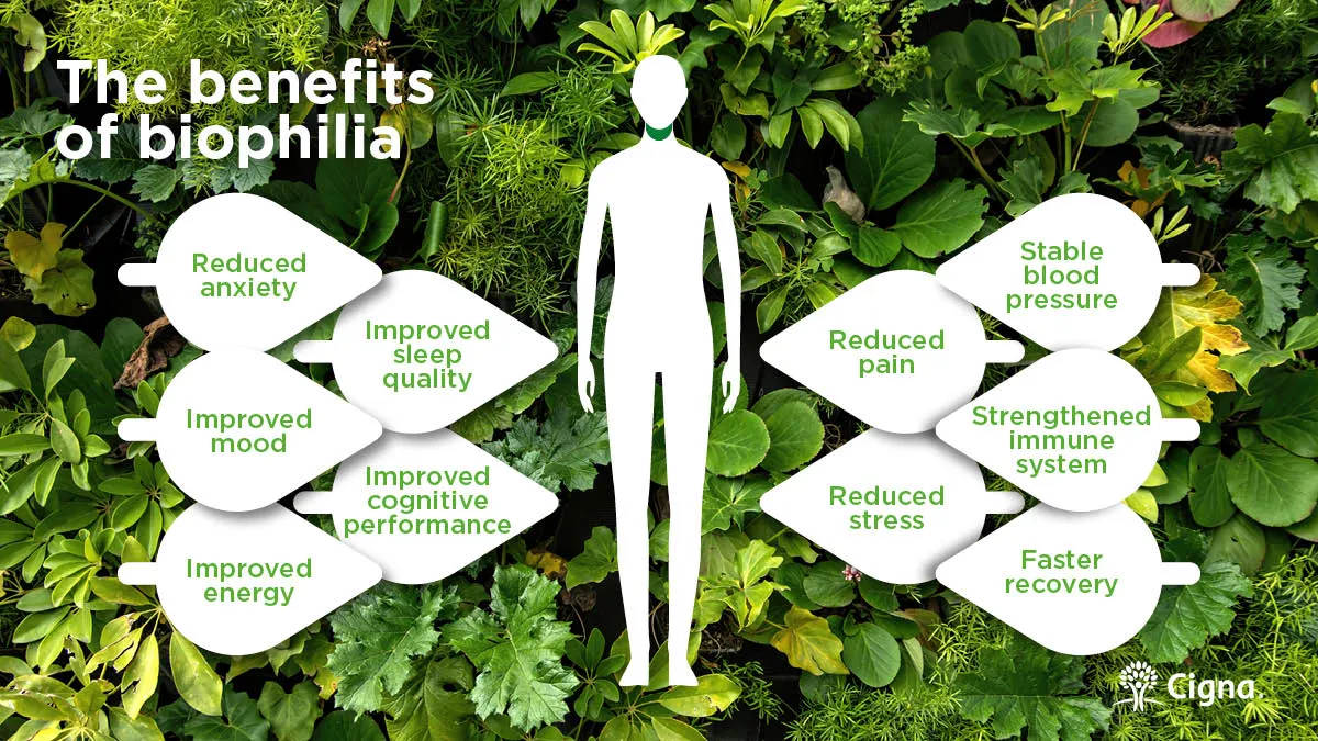 Connection with nature and biophilia help mental wellbeing | Body & Mind |  Cigna