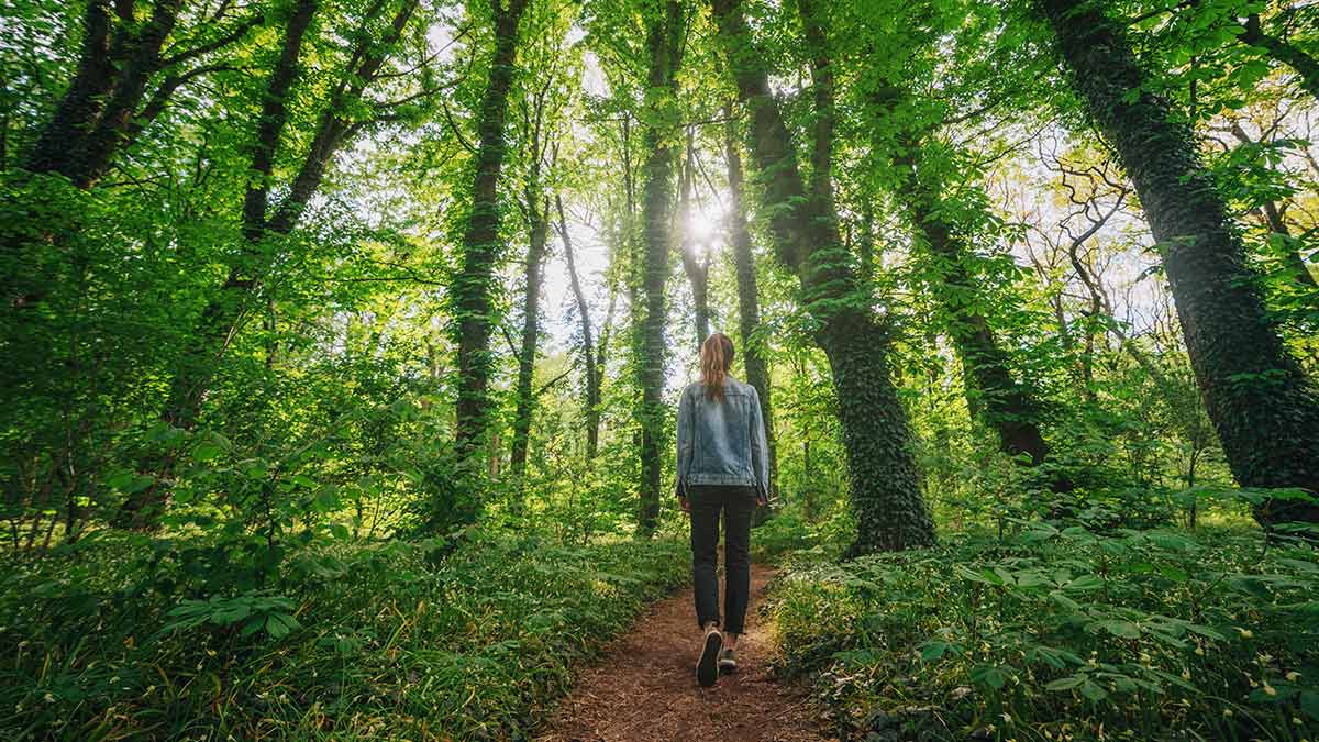 blog-mental-physical-health