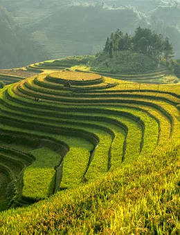 vietnam-image